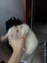 grabsyou