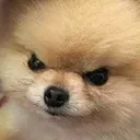 a_angry_hu