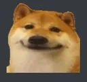 dogepain dogepain