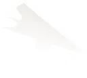 MightyEagleIcon