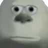 wazowskibruh