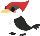 Woodpecker