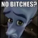 NoBitches