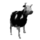 cowJAM