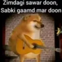 zimdagi