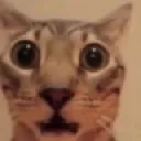 oohmygaw