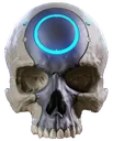 Oddskull