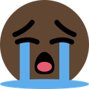 brown_cry Discord emoji