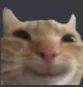 CatSmile