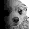 lumpyDespair