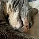 slumber slumber