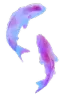 AnyConv