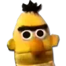 bert