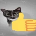 catthumbsup