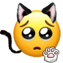 catears_pleading Discord Emoji