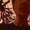 ninjaperc
