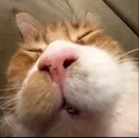 Catastrophe_sleepyboi