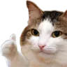 ThumbsUp
