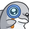 dolphinLook