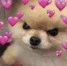 Angerydoggolove