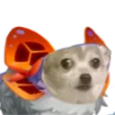 Sonnorsmallconcern Sonnorsmallconcern