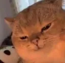 evil evil