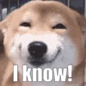 dog_iknow