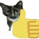 thumbsup