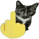 middlefinger