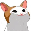 catpop