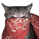 4373redbandanacat custom emote