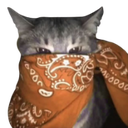 3477orangebandanacat Discord Emoji