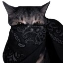 8089blackbandanacat Discord sticker