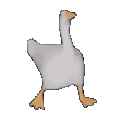 6542_DuckDance