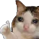emoji_43