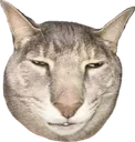 whythelongface