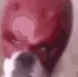 howufeltwhenusaidthat