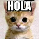 hola