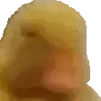 SMHing