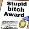 stupidbitchaward stupidbitchaward