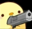 birdgun