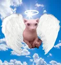 God_Bingus