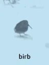 birb_vibe birb_vibe