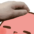 A human hand repeatedly patting the top of a pink, smiling cartoon character's head.