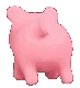 dpiggybooty