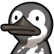 dukBlank