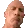 rockstare