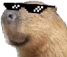coolCapy