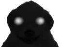 jotchua_trauma