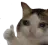 sadcat_thumbsup sadcat_thumbsup